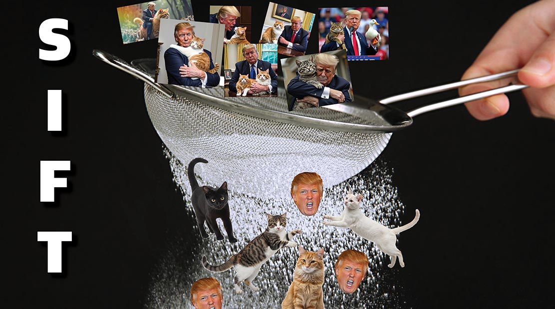 A slide featuring AI-generated images of Donald Trump holding cats. These images fall into a sieve. Pictures of individual cats and Trump heads fall out of the sieve.